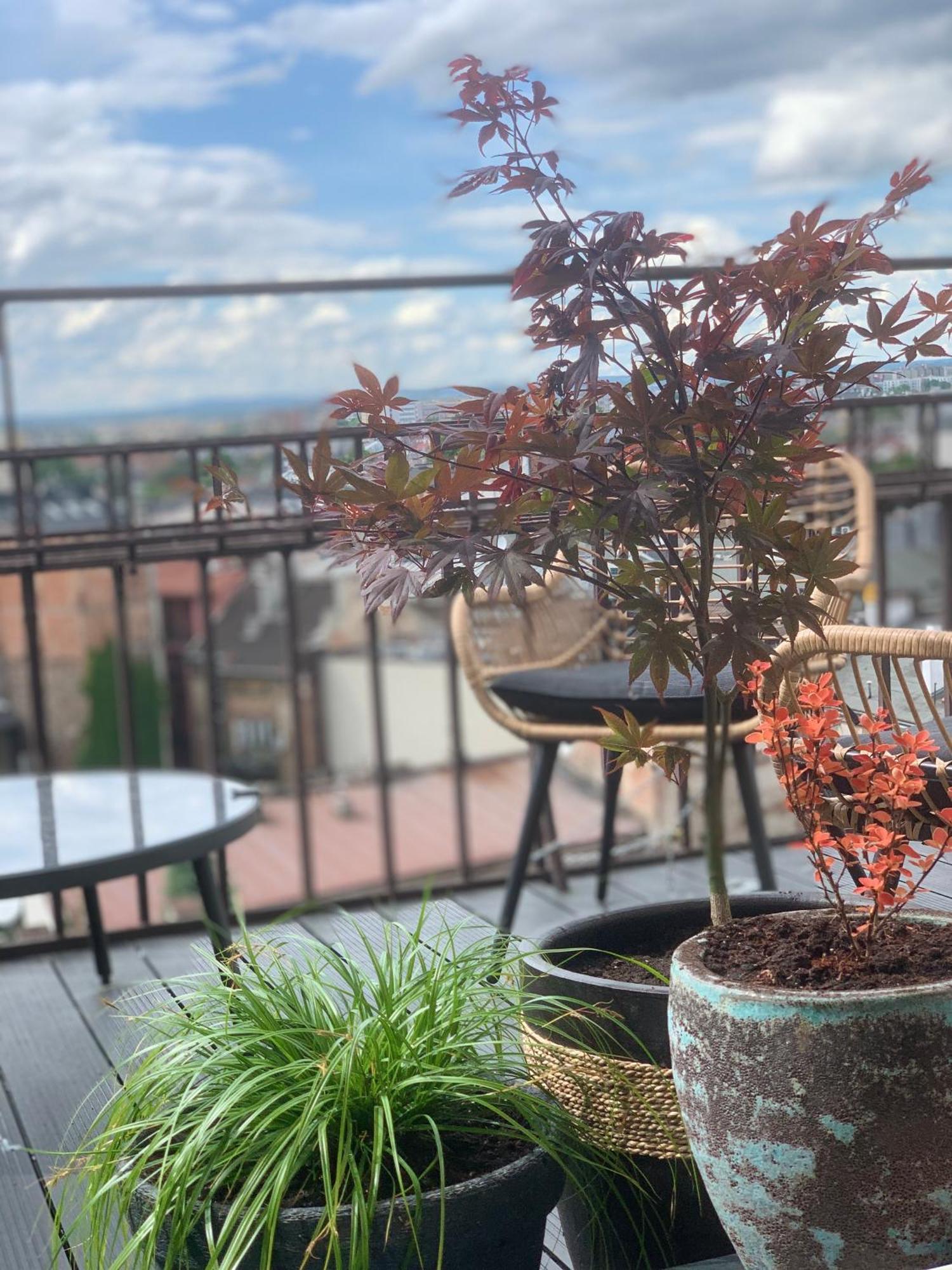 克拉科夫Loft21公寓 外观 照片